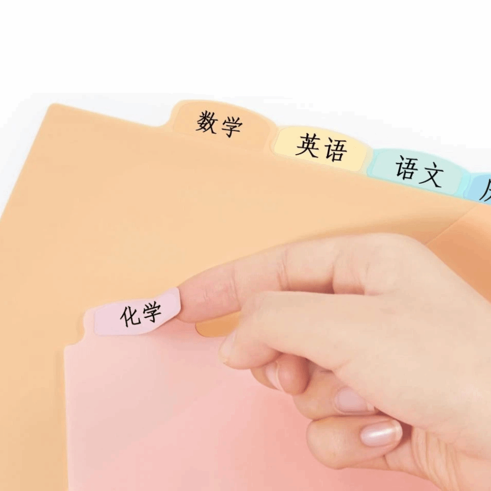 8 pcs A4 Pastel Binder Divider - đánh giá và giá Tab Divider A4